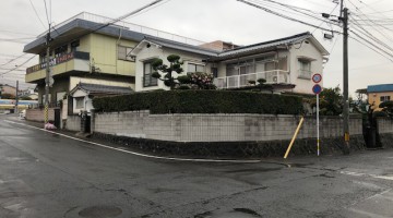 IMG_6128