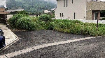 IMG_8570