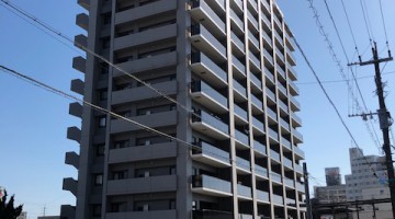IMG_2728