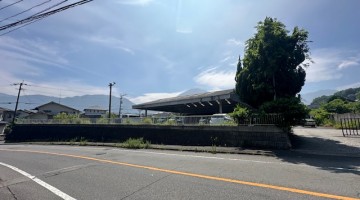 IMG_4684